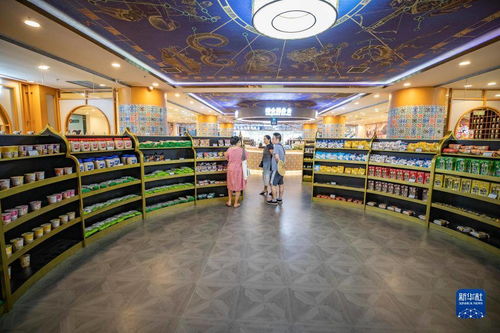 重慶絲路花街 構筑‘一帶一路’消費新體驗商品交易中心